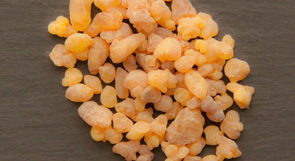 Sustainable Perfumery Sourcing: Tracing Rare Aromatic Resins - rare frankincense resin